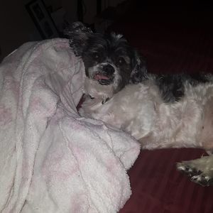 Meet your Posher, Debbie